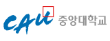 중앙대학교